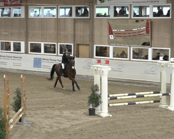 Reitturnier Henau 2023
