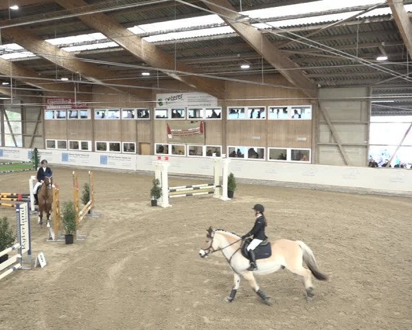 Reitturnier Henau 2023