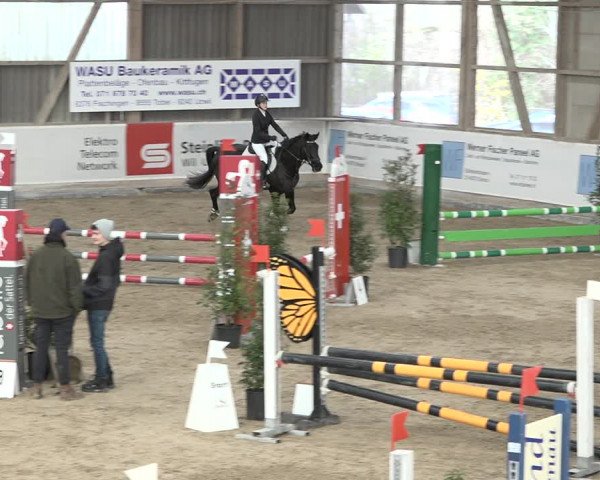 Reitturnier Henau 2023
