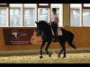 dressage horse Finest Pleasure (German Sport Horse, 2015, from Finest)