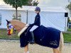 dressage horse Catching Fire 15 (German Riding Pony, 2016, from Kastanienhof Cockney Cracker)