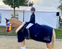 dressage horse Catching Fire 15 (German Riding Pony, 2016, from Kastanienhof Cockney Cracker)