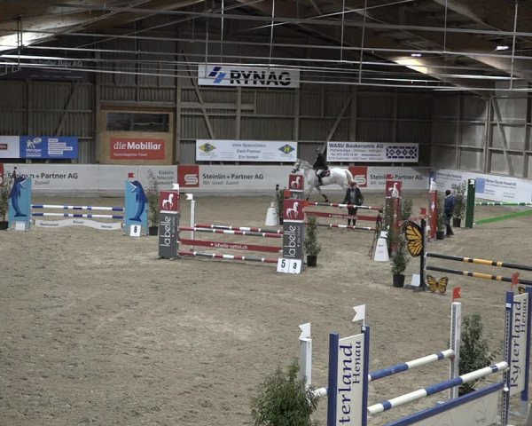 Reitturnier Henau 2023