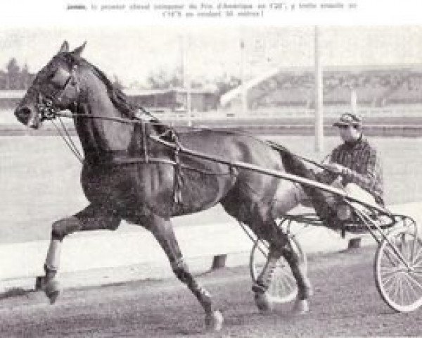 stallion Jamin (FR) (French Trotter, 1953, from Abner (FR))