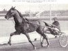 stallion Jamin (FR) (French Trotter, 1953, from Abner (FR))