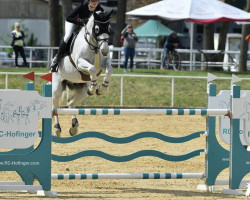 Springpferd Cevin (Deutsches Reitpferd, 2008, von Cornet du Lys)