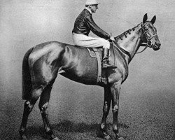 broodmare Keystone xx (Thoroughbred, 1903, from Persimmon xx)