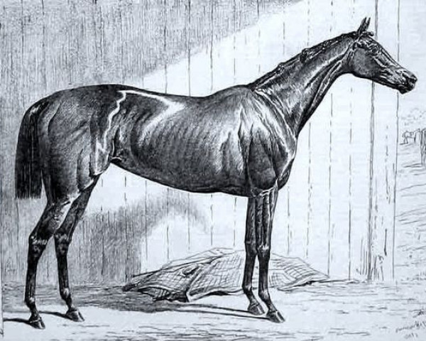 broodmare Jannette xx (Thoroughbred, 1875, from Lord Clifden xx)