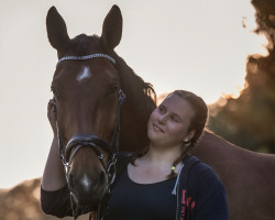 Pferd Eddi (Schweres Warmblut, 2014, von Elbgraf)