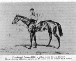 broodmare Poetess xx (Thoroughbred, 1838, from Royal Oak xx)