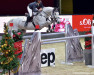 Springpferd Zauberfee 33 (Belgisches Warmblut, 2004, von Landprinz)