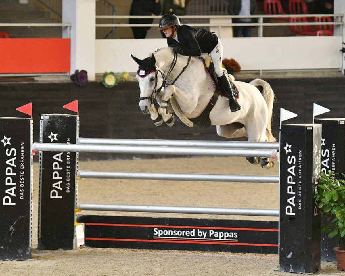 broodmare Criminal Love (Austrian Warmblood, 2015, from Chap II)
