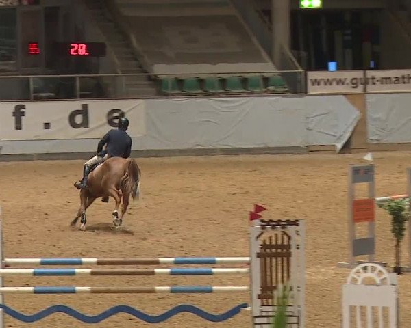 Reitturnier Kreuth/Opf. 2023