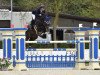 jumper Casagrino PS (Oldenburg show jumper, 2016, from L.b. Casanova)