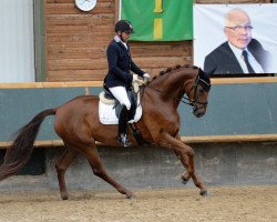 broodmare Bella Belissima S (Oldenburg, 2018, from Belissimo NRW)