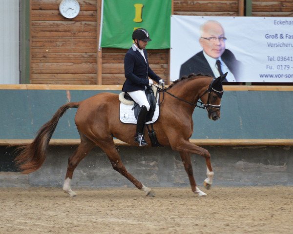 broodmare Audemars Piquet S (Oldenburg, 2019, from Fuechtels Floriscount OLD)