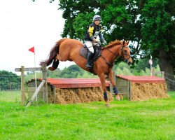 Pferd Libris Firesong (British Sport Horse, 2017, von Ramiro B)