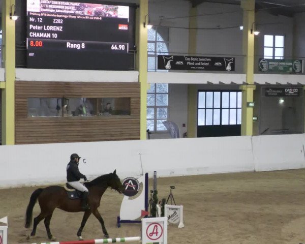 Reitturnier Stadl-Paura 2023