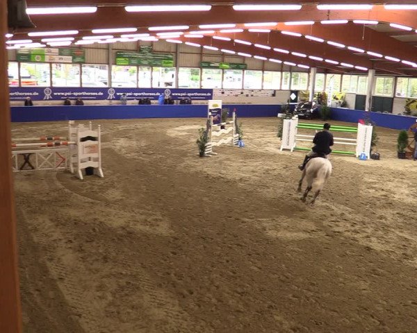 Euregio Springturnier Isterberg 2021