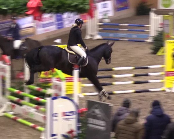 Reitturnier Leck 2023