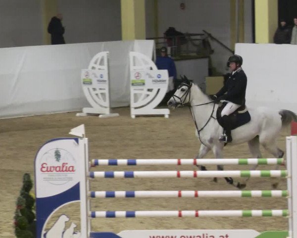 Reitturnier Stadl-Paura 2023