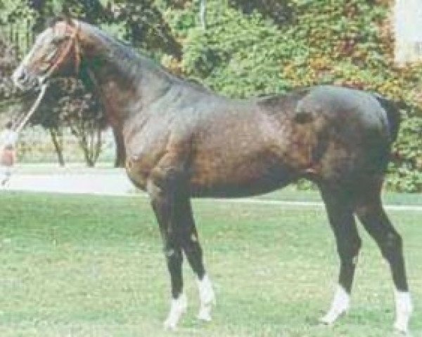 stallion Lute Antique xx (Thoroughbred, 1985, from No Lute xx)