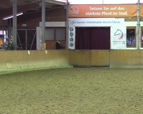 Reitturnier Appelhülsen 2023