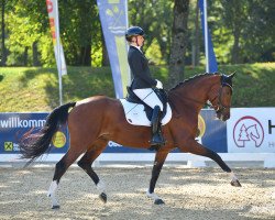 dressage horse Freivon's Elsa (Bavarian, 2018, from Escolar)