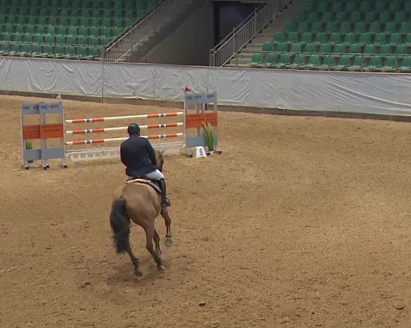 Reitturnier Kreuth/Opf. 2023