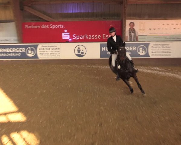 Reitturnier Essen-Stadtwald 2023