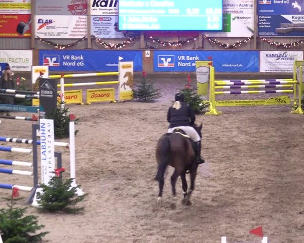 Reitturnier Leck 2023