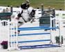 jumper Granato 4 (Hanoverian, 2013, from Grey Top)