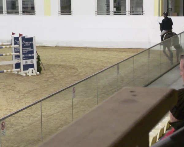 Reitturnier Stadl-Paura 2023