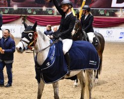 jumper Niobe van 't Commercehof (Belgian Warmblood, 2013, from Adorado)