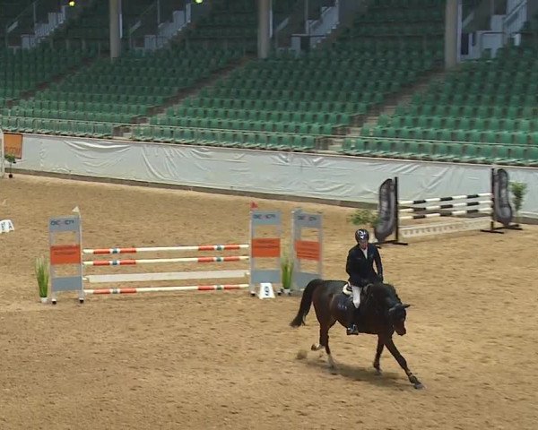 Reitturnier Kreuth/Opf. 2023