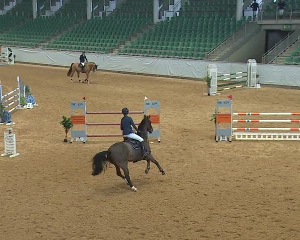 Reitturnier Kreuth/Opf. 2023
