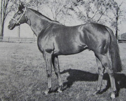 stallion Mountain Call xx (Thoroughbred, 1965, from Whistler xx)