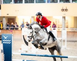 Springpferd Celine EM (Westfale, 2018, von Cornet Obolensky)