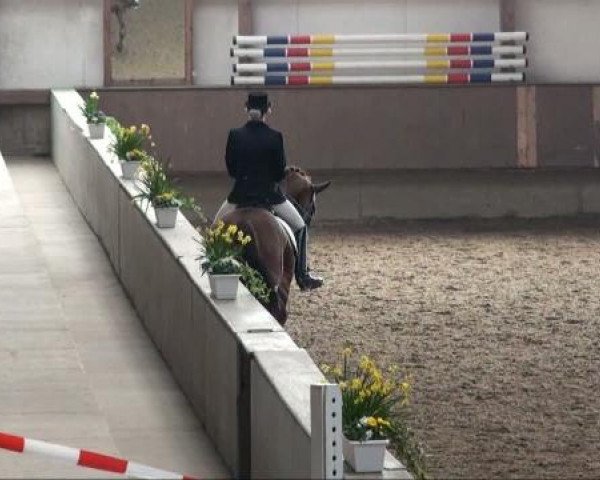 Alt Marl 2011