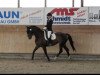 dressage horse Rubina - Z (Württemberger, 2002, from Rubin Star N)