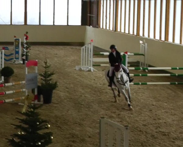 Reitturnier Fleesensee Classic´s 2023