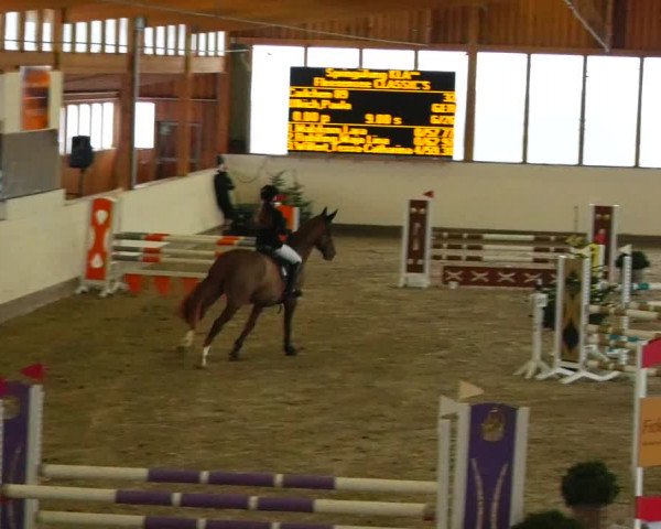 Reitturnier Fleesensee Classic´s 2023