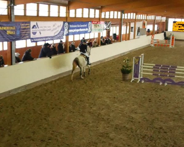 Reitturnier Fleesensee Classic´s 2023