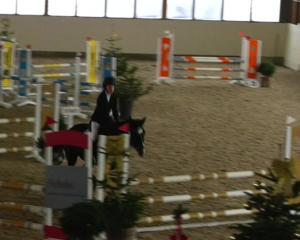 Reitturnier Fleesensee Classic´s 2023
