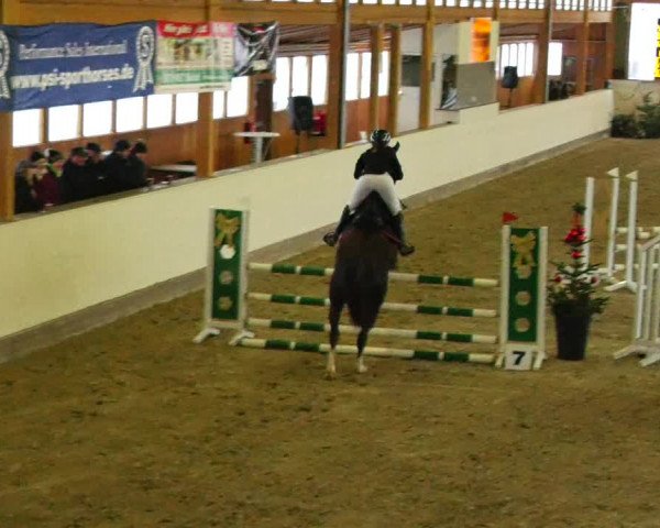 Reitturnier Fleesensee Classic´s 2023