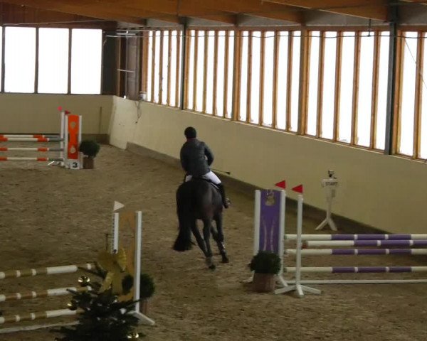 Reitturnier Fleesensee Classic´s 2023