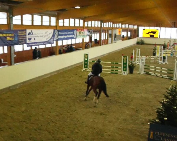 Reitturnier Fleesensee Classic´s 2023