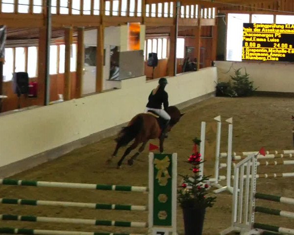 Reitturnier Fleesensee Classic´s 2023