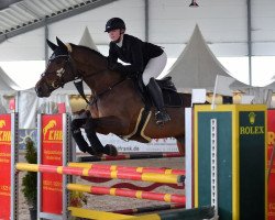 jumper Carla 203 (Oldenburg, 2010, from Champion de Cord)