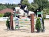 jumper Clara 176 (German Sport Horse, 2014, from Chap II)